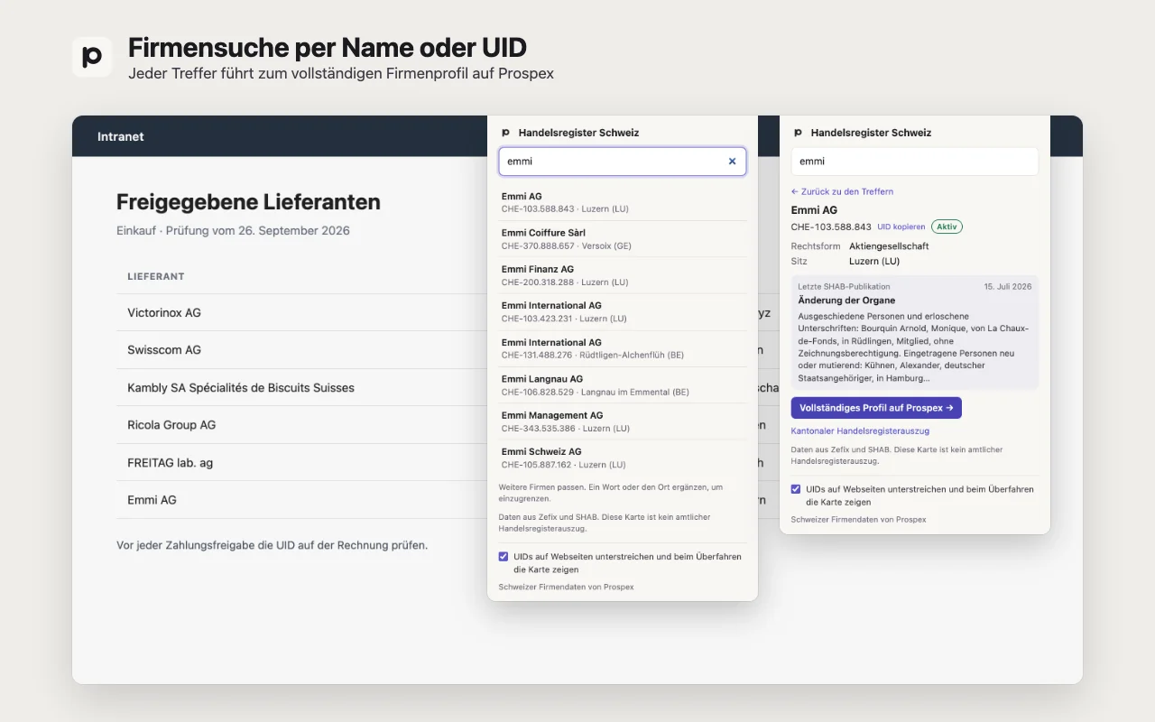 Das Popup der Erweiterung mit Suchergebnissen für einen Firmennamen